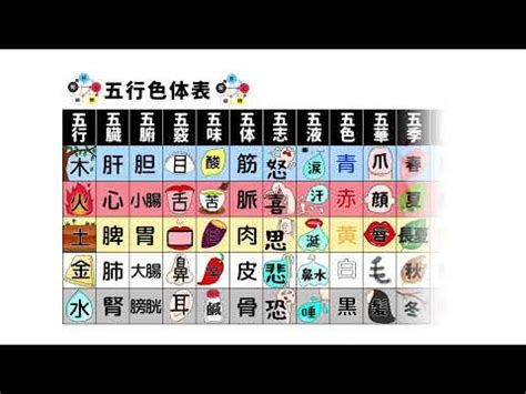 五行計算|快速瞭解你的五行屬性